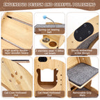 Rueda para gatos 6 en 1, Rueda de ejercicio para gatos mejorada, Rueda de correr para gatos grandes, Rueda de caminar para gatos, Muebles para gatos, Juguetes para gatos
