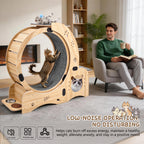 Rueda para gatos 6 en 1, Rueda de ejercicio para gatos mejorada, Rueda de correr para gatos grandes, Rueda de caminar para gatos, Muebles para gatos, Juguetes para gatos