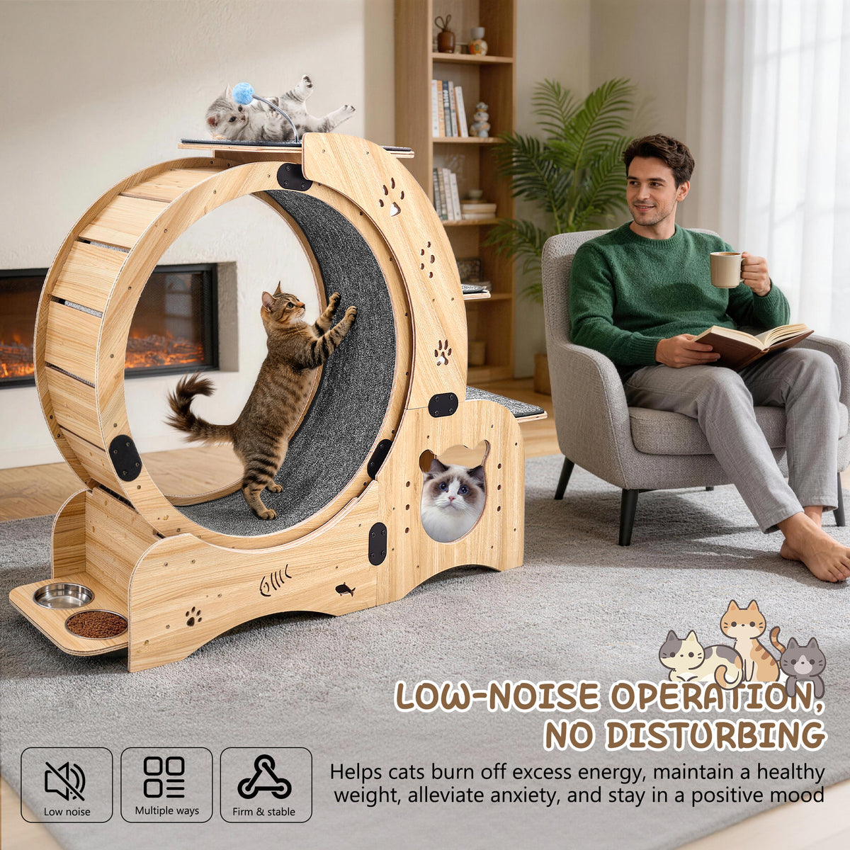 Rueda para gatos 6 en 1, Rueda de ejercicio para gatos mejorada, Rueda de correr para gatos grandes, Rueda de caminar para gatos, Muebles para gatos, Juguetes para gatos