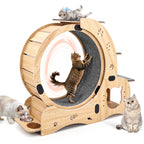 Rueda para gatos 6 en 1, Rueda de ejercicio para gatos mejorada, Rueda de correr para gatos grandes, Rueda de caminar para gatos, Muebles para gatos, Juguetes para gatos