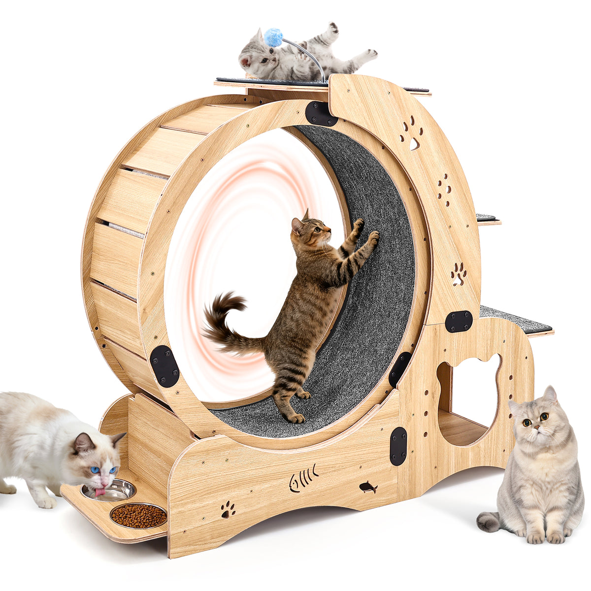 Rueda para gatos 6 en 1, Rueda de ejercicio para gatos mejorada, Rueda de correr para gatos grandes, Rueda de caminar para gatos, Muebles para gatos, Juguetes para gatos