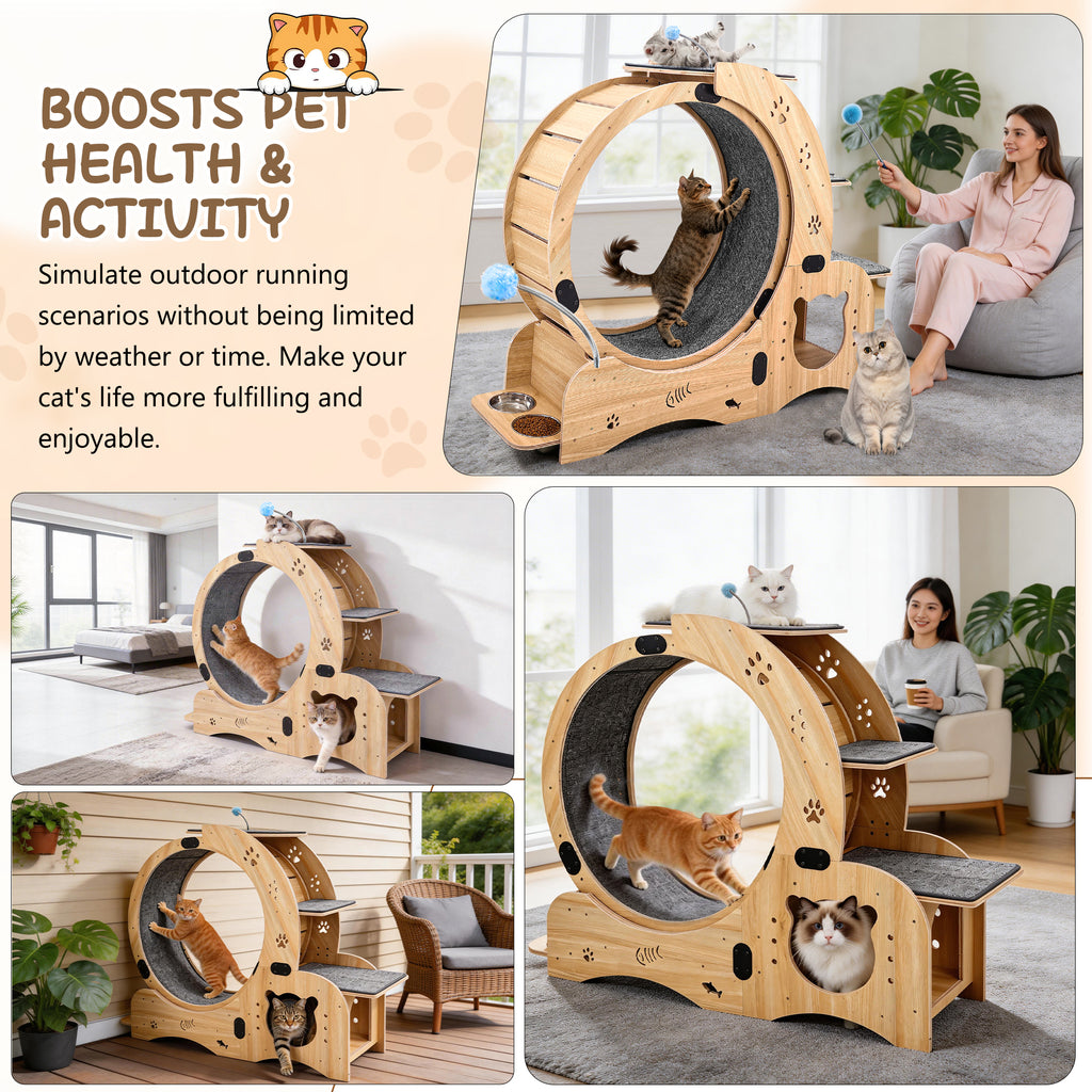 Rueda para gatos 6 en 1, Rueda de ejercicio para gatos mejorada, Rueda de correr para gatos grandes, Rueda de caminar para gatos, Muebles para gatos, Juguetes para gatos