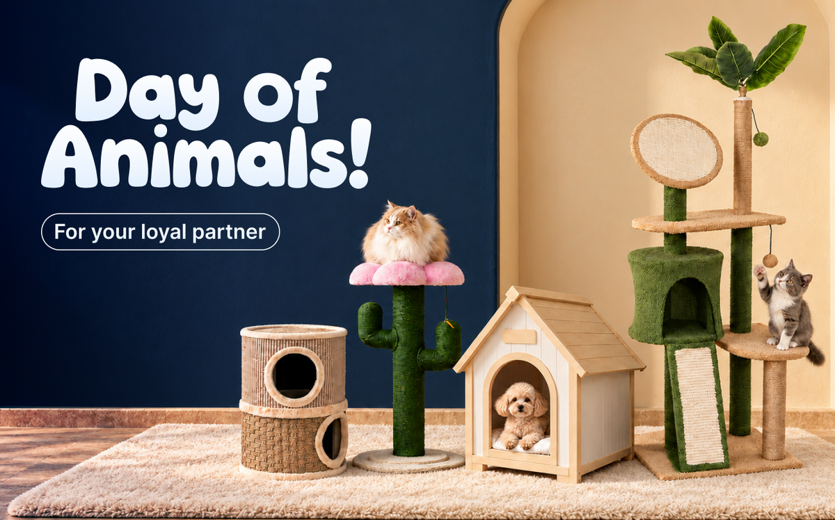 Pet supplies