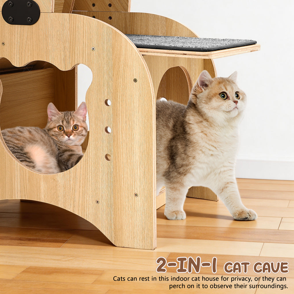 Rueda para gatos 6 en 1, Rueda de ejercicio para gatos mejorada, Rueda de correr para gatos grandes, Rueda de caminar para gatos, Muebles para gatos, Juguetes para gatos