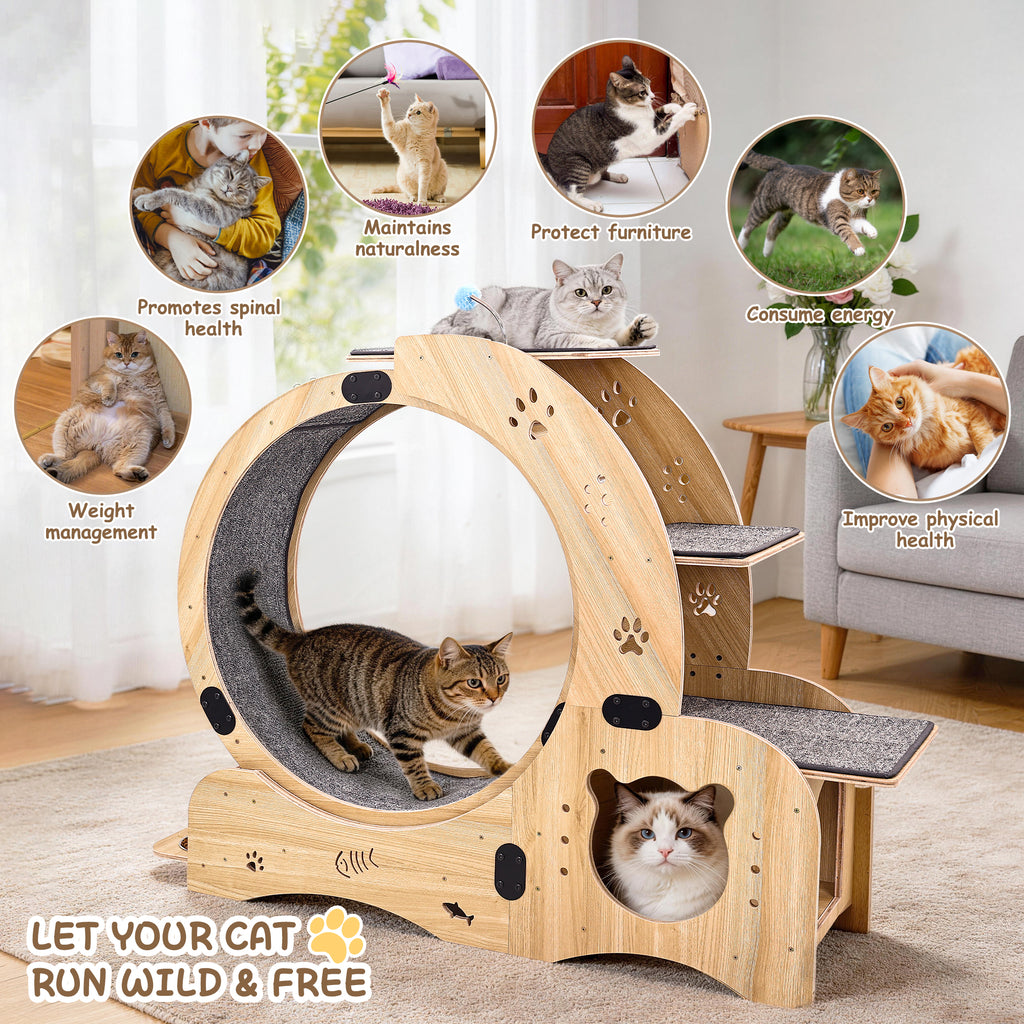 Rueda para gatos 6 en 1, Rueda de ejercicio para gatos mejorada, Rueda de correr para gatos grandes, Rueda de caminar para gatos, Muebles para gatos, Juguetes para gatos