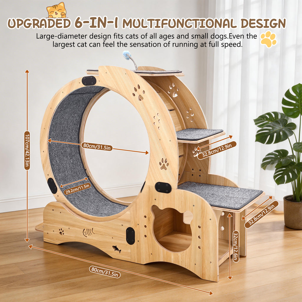 Rueda para gatos 6 en 1, Rueda de ejercicio para gatos mejorada, Rueda de correr para gatos grandes, Rueda de caminar para gatos, Muebles para gatos, Juguetes para gatos