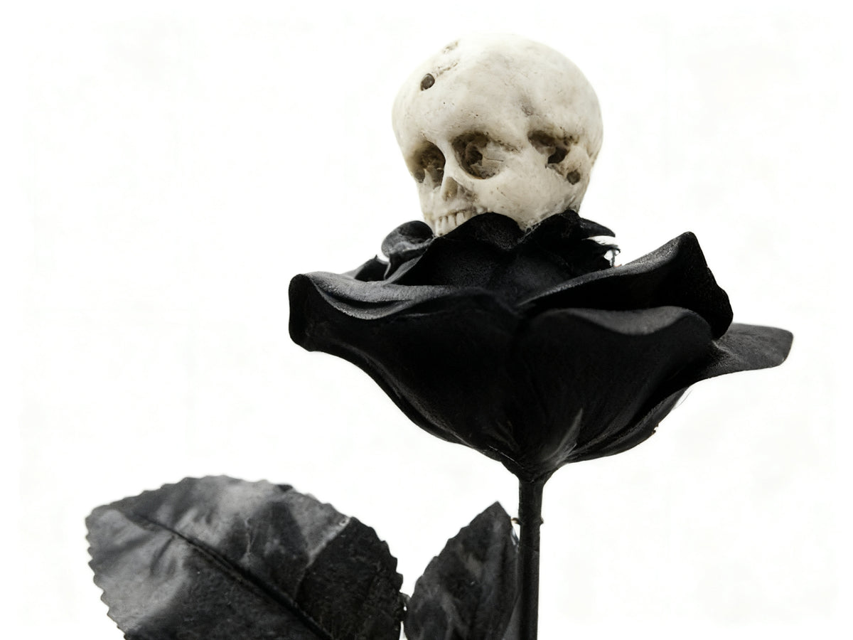 Rosa Negra de Halloween con Calavera