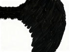 Alas de Ángel con Plumas Negras