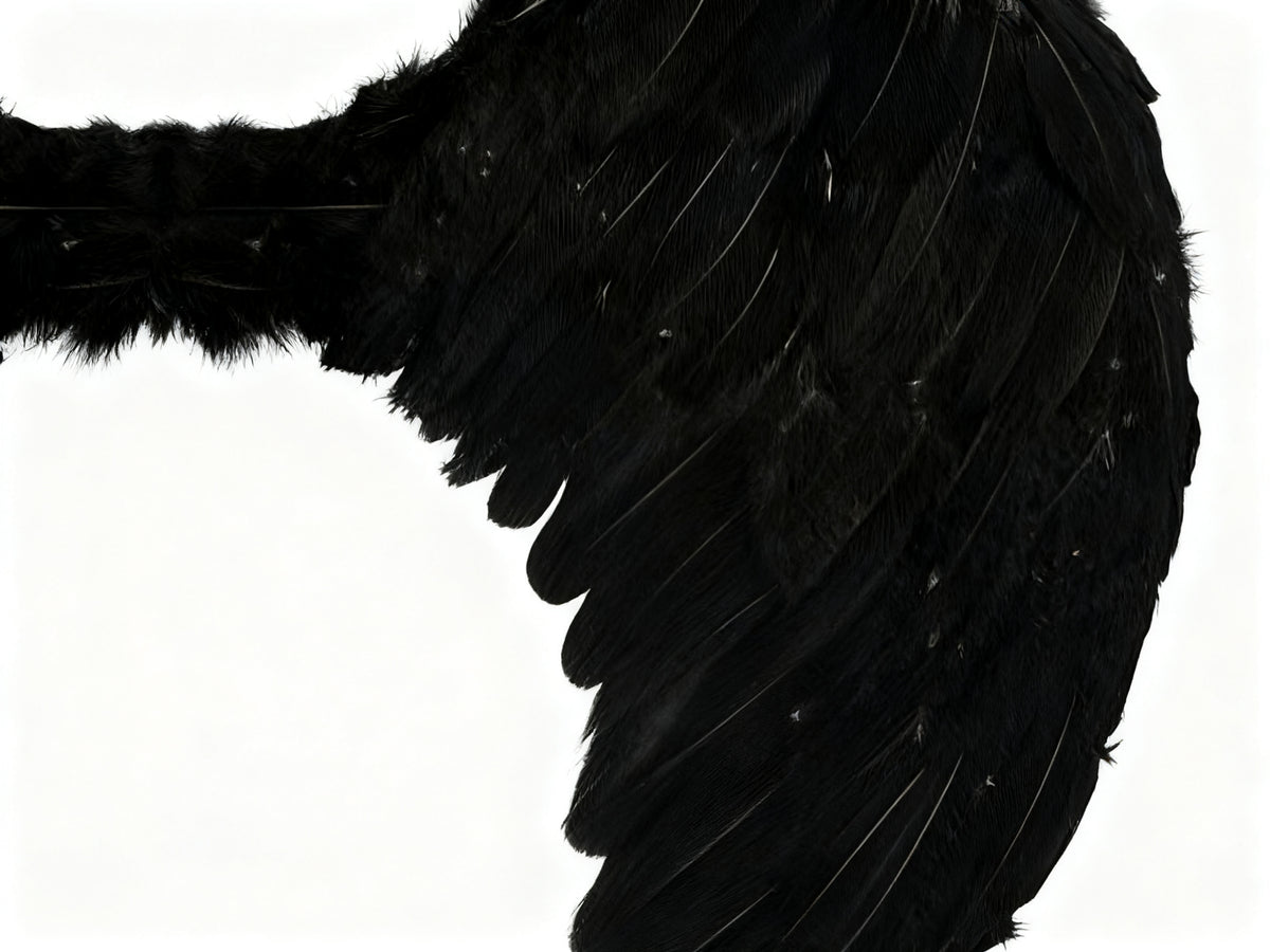 Alas de Ángel con Plumas Negras