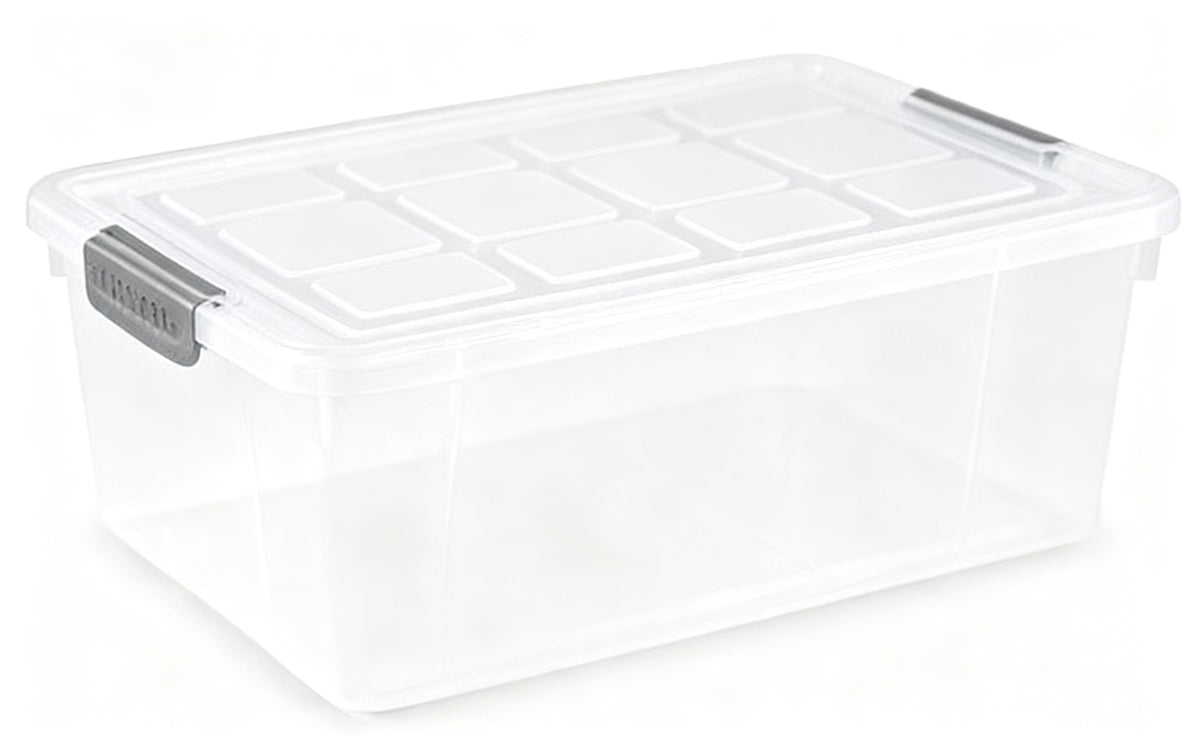 CAJA Nº 29 9 L PLATA F1729
