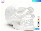Calavera de Halloween con Set de Pinceles