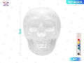 Calavera Pequeña Halloween Set Pintura