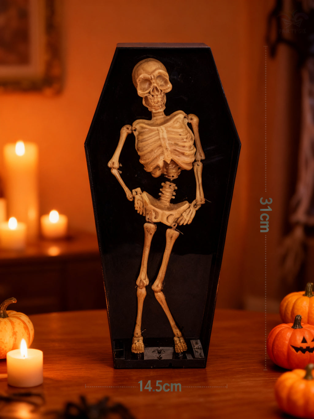 Ataud Bailarín Halloween