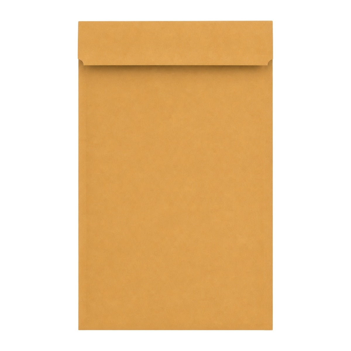 Bubble mailer white background product image