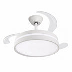 Ceiling Fan with LED Light