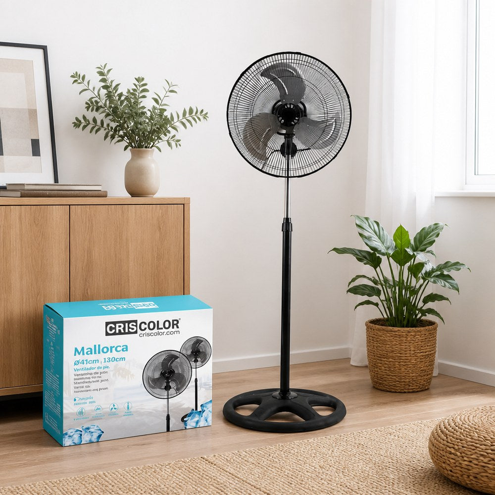Black Floor Fan