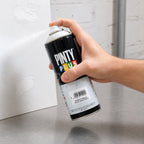 Pinty Plus Gloss White Spray Paint