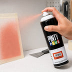 Spray Pinty Plus Salmón